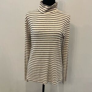 Abercrombie and Fitch Striped  Turtleneck Sweater